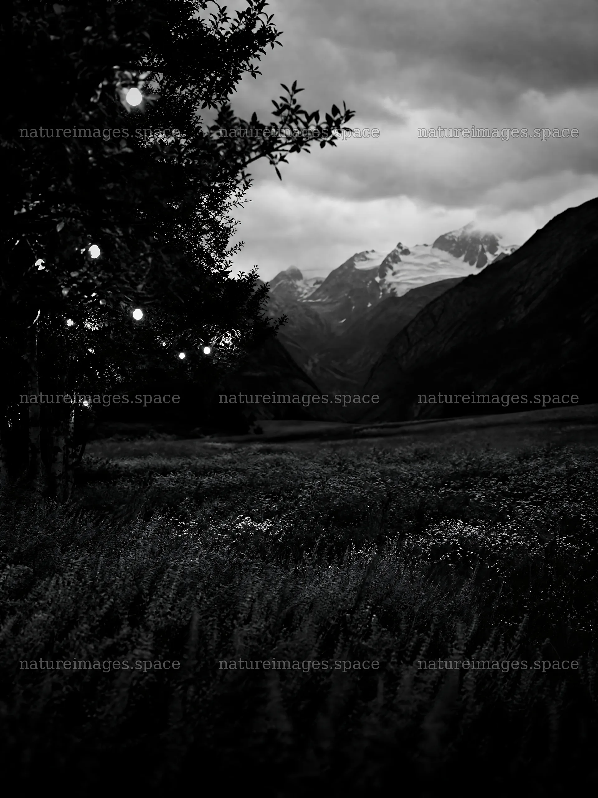 Warm Christmas lights across mountain valley meadow – nature images 6874x9166