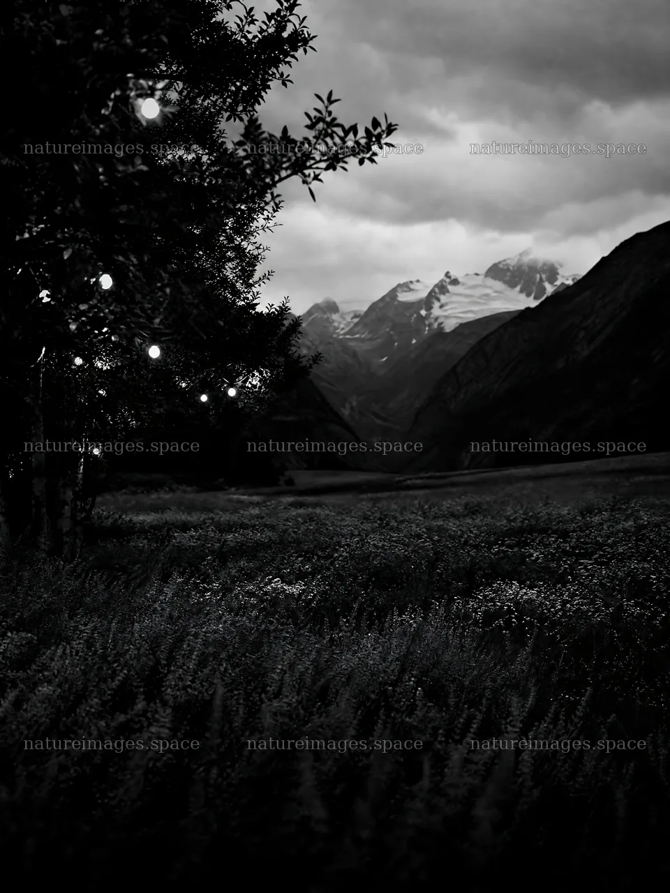 Warm Christmas lights across mountain valley meadow – nature images 6874x9166