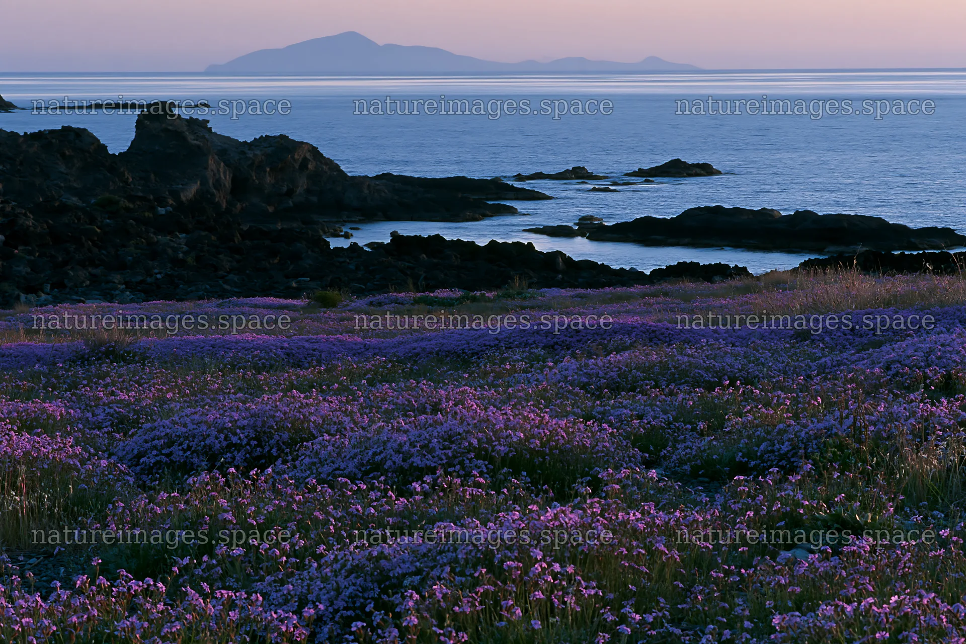 Italian meadow along rocky coast with distant mountains – nature images 9722x6480