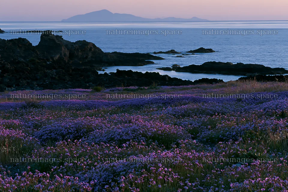 Italian meadow along rocky coast with distant mountains – nature images 9722x6480