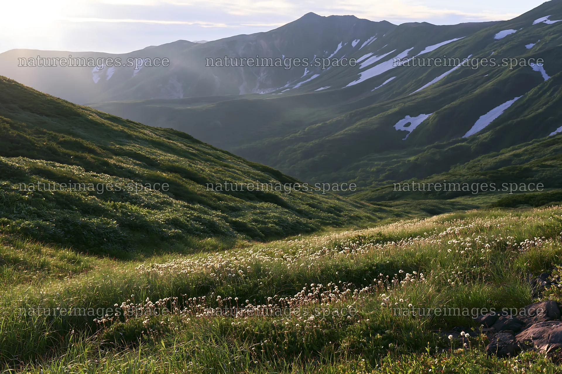 Light rays over Daisetsuzan alpine meadow in summer – nature images 9722x6480