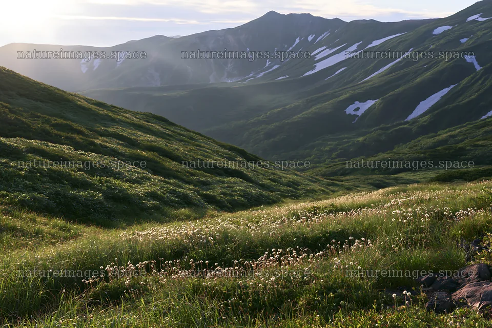 Light rays over Daisetsuzan alpine meadow in summer – nature images 9722x6480