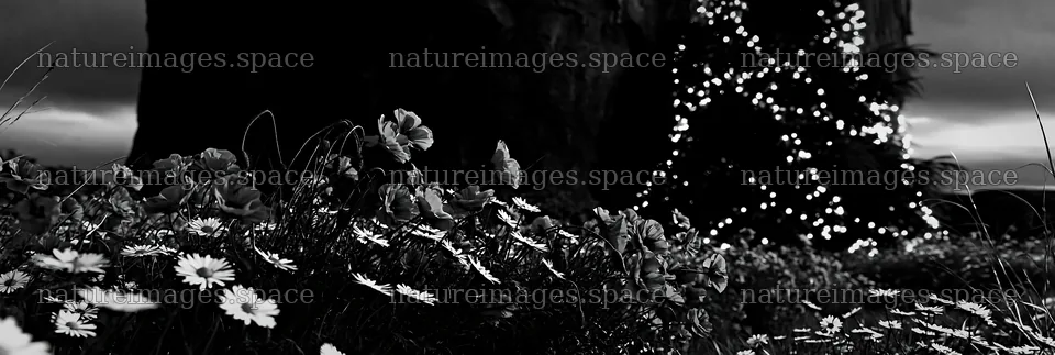 Christmas tree beside cave in meadow – nature images 13690x4602