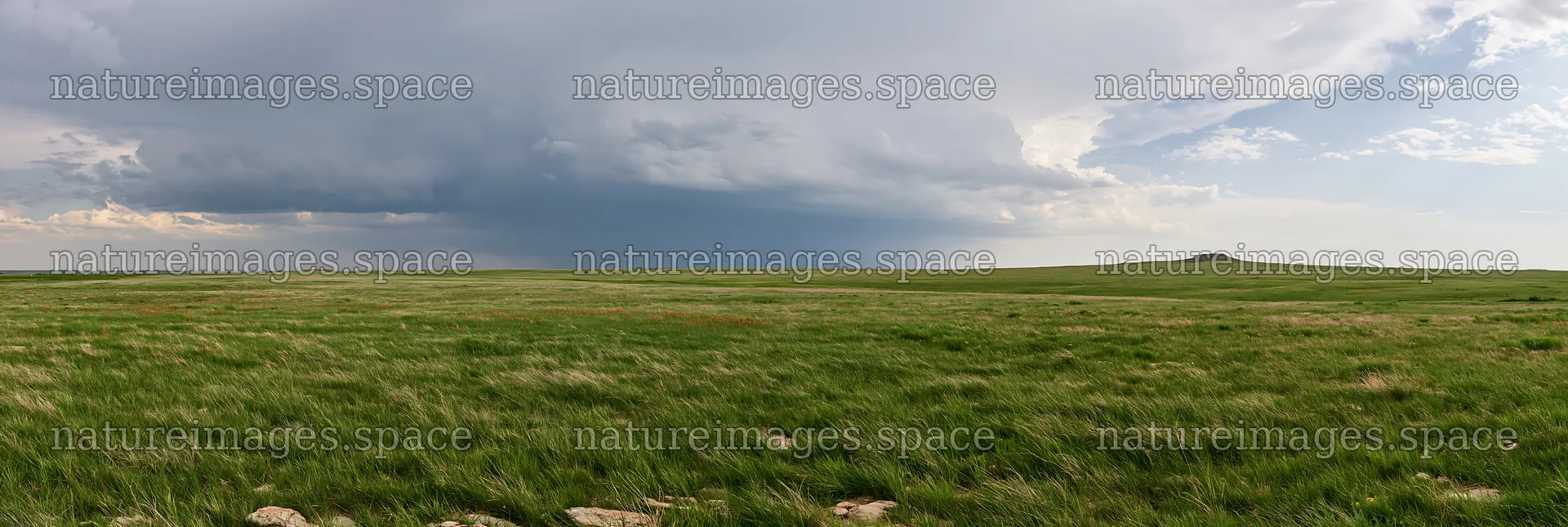 Climate-resilient meadow under cloudy sky in open landscape – nature images 13690x4602
