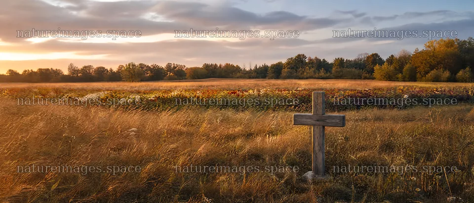 Christian cross in autumn meadow with light rays – nature images 12124x5196