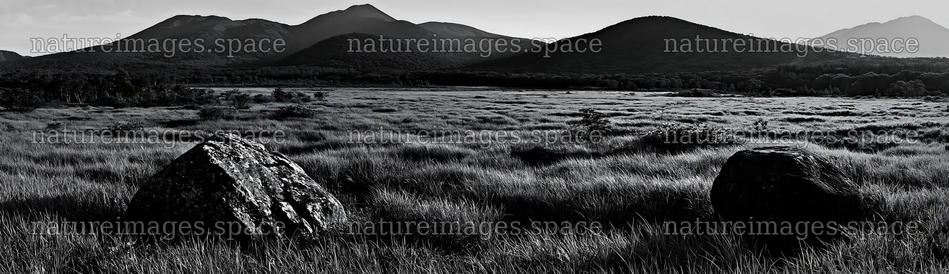 Aomori climate resilient meadow with boulders and mountains – nature images 14762x4268