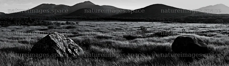 Aomori climate resilient meadow with boulders and mountains – nature images 14762x4268