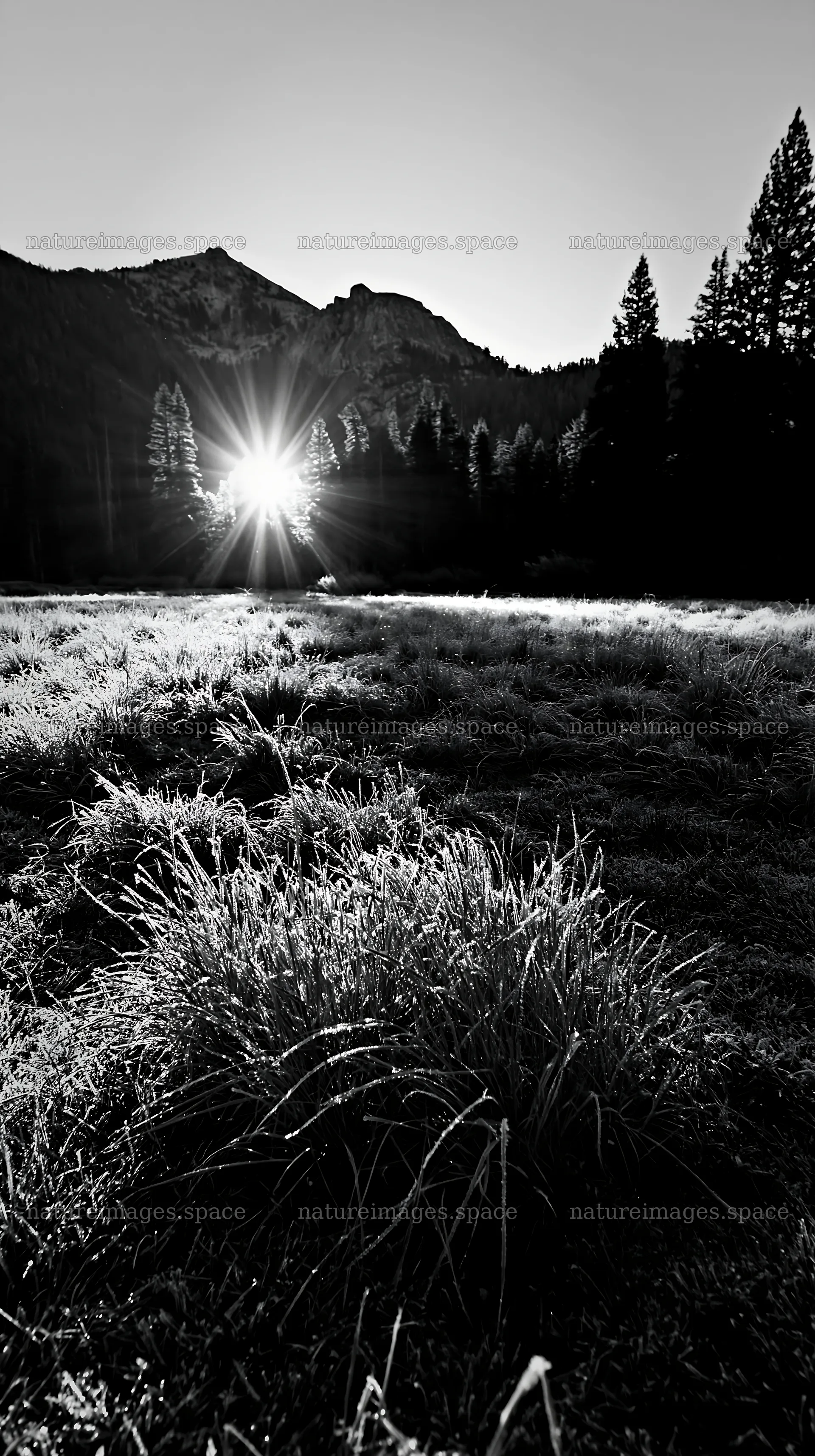 Frosty meadow at sunrise with mountains in the background – nature images 5938x10608