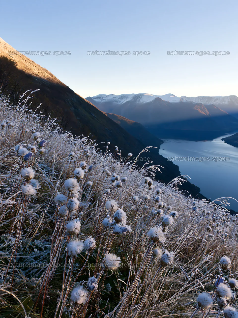 Meadow with seedheads near a river in mountain landscape – nature images 6866x9174
