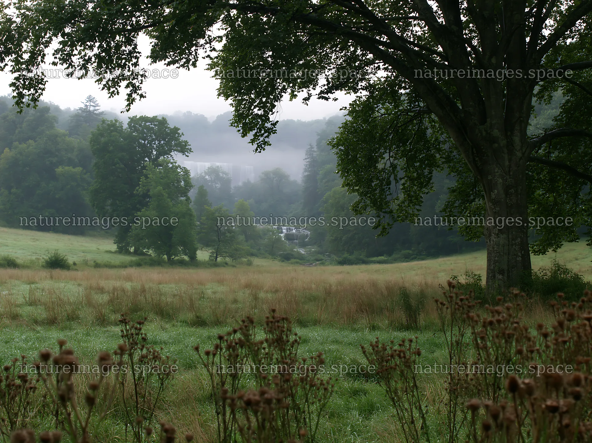 Meadow with visible cascade in a misty landscape – nature images 9174x6866