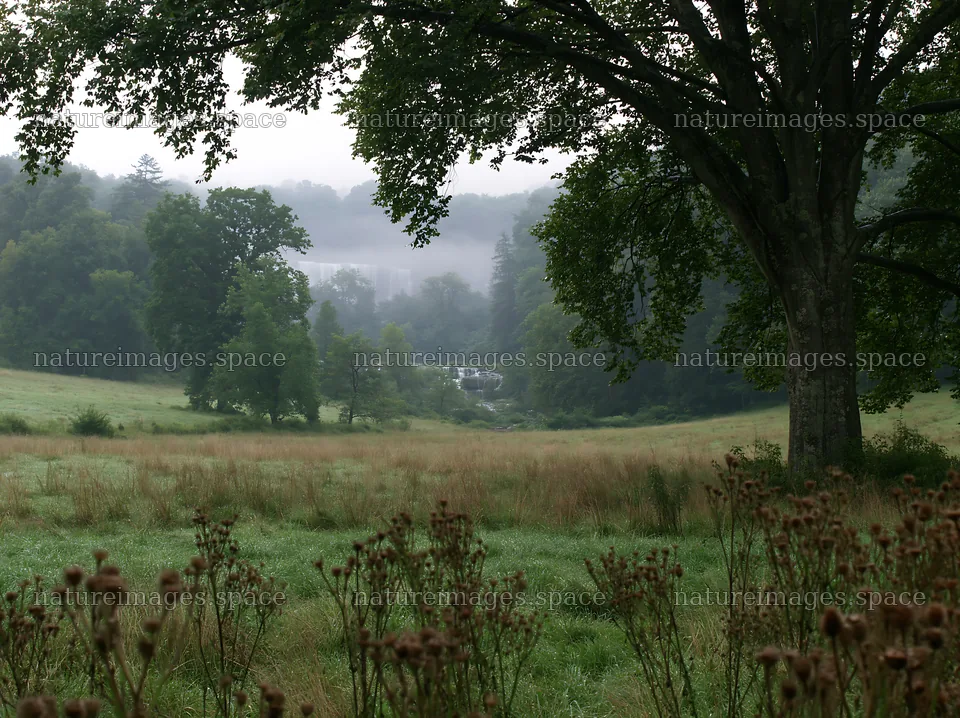 Meadow with visible cascade in a misty landscape – nature images 9174x6866