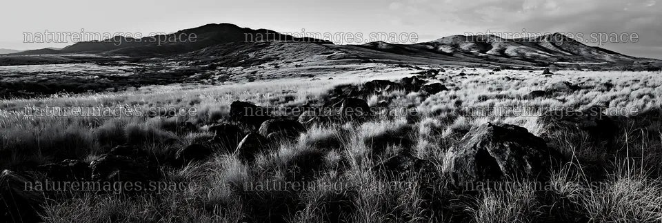 Kanagawa volcanic stones in a heat resilient meadow landscape – nature images 13690x4602
