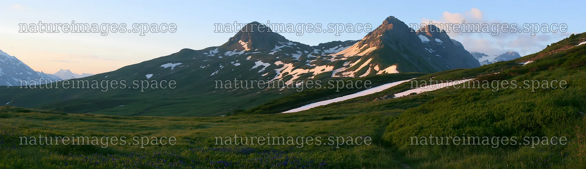 Swiss alpine meadow landscape at sunset – nature images 14762x4268