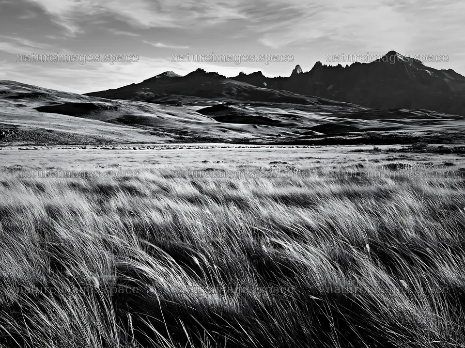 Meadow in rolling valley with mountains in the background – nature images 9174x6866