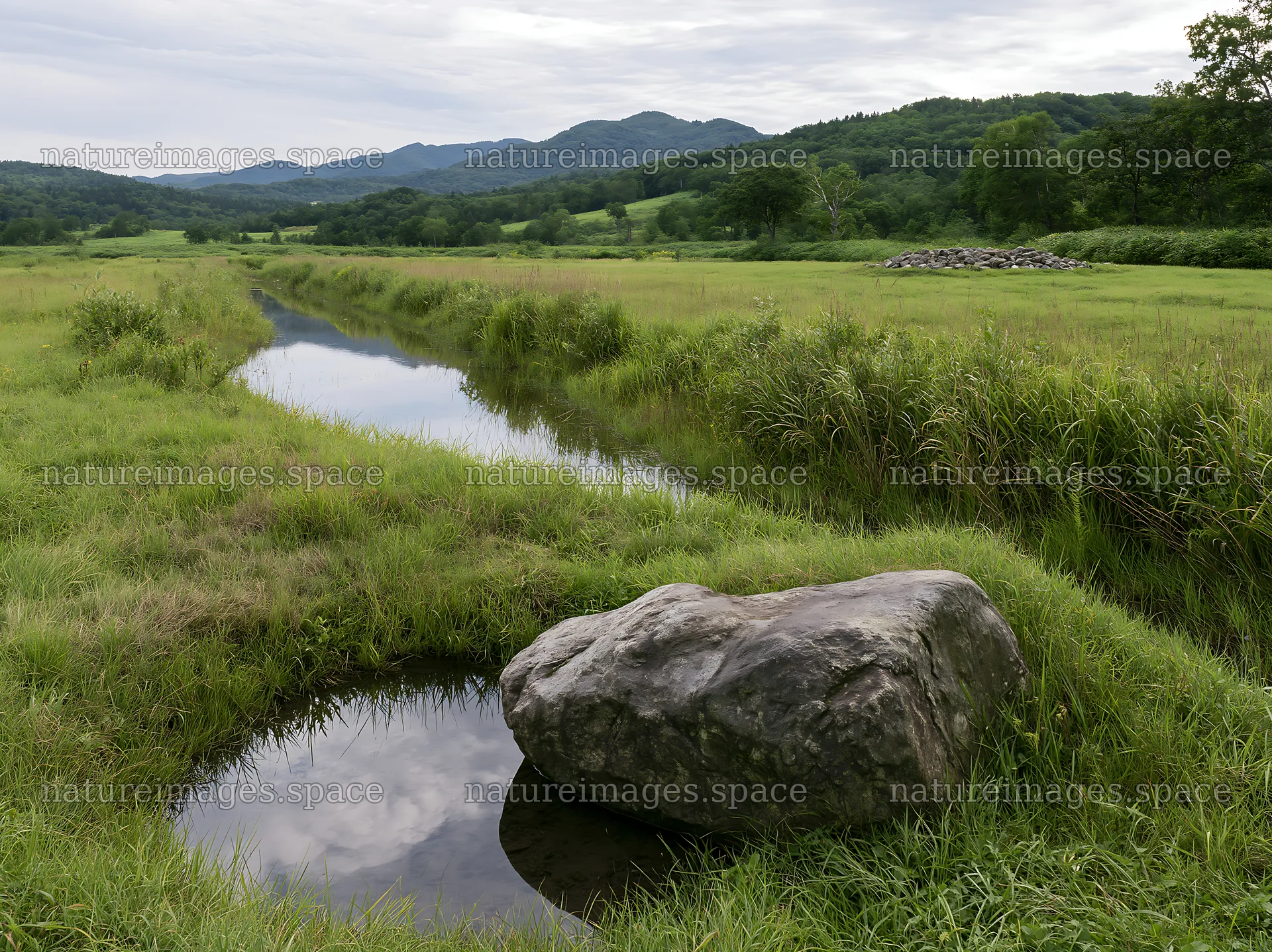 Aomori climate resilient meadow with boulder – nature images 9174x6866