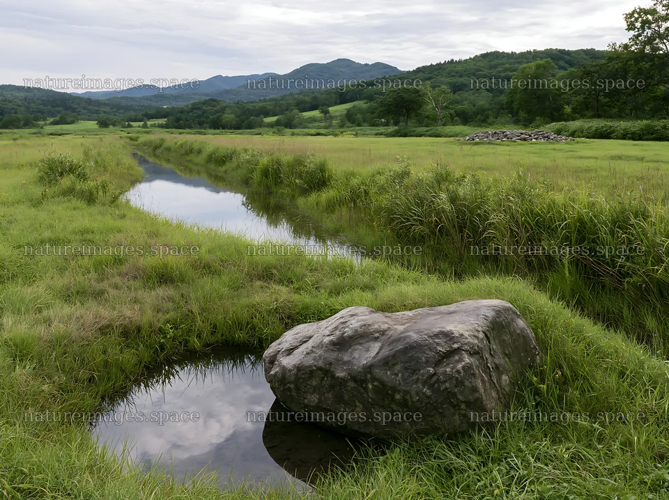 Aomori climate resilient meadow with boulder – nature images 9174x6866