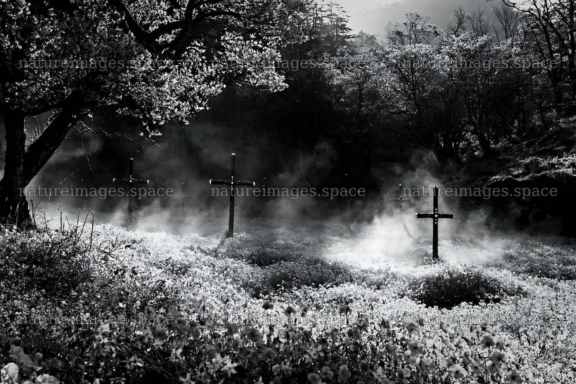 Christian crosses in geothermal spring meadow – nature images 9722x6480