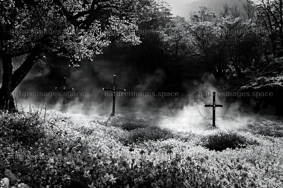 Christian crosses in geothermal spring meadow – nature images 9722x6480