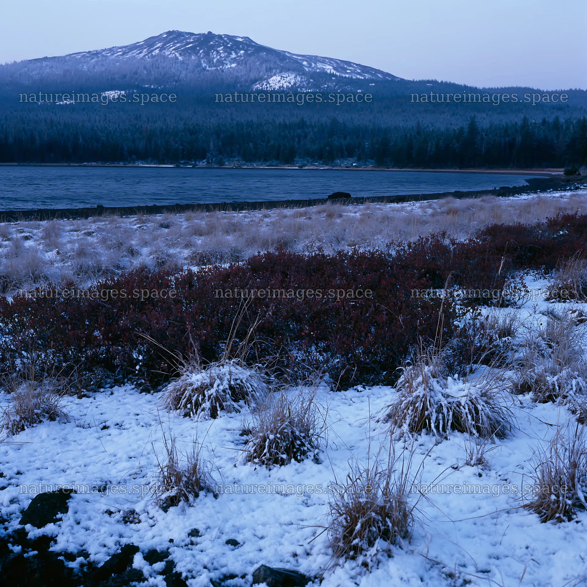 Lakeside meadow covered in snow after first snowfall – nature images 7938x7938