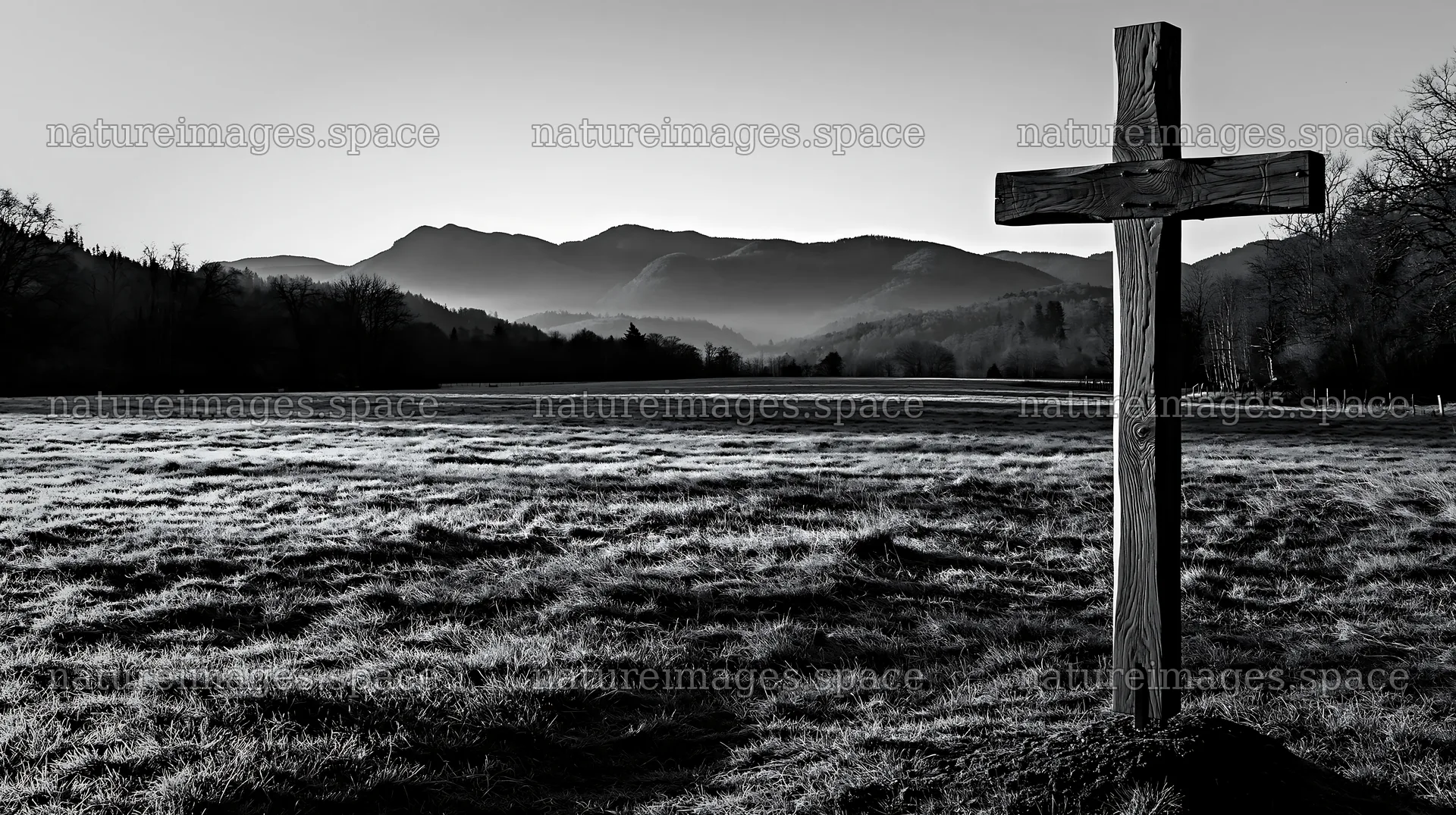 Carved oak cross in frosted meadow with mountains in background – nature images 10608x5938