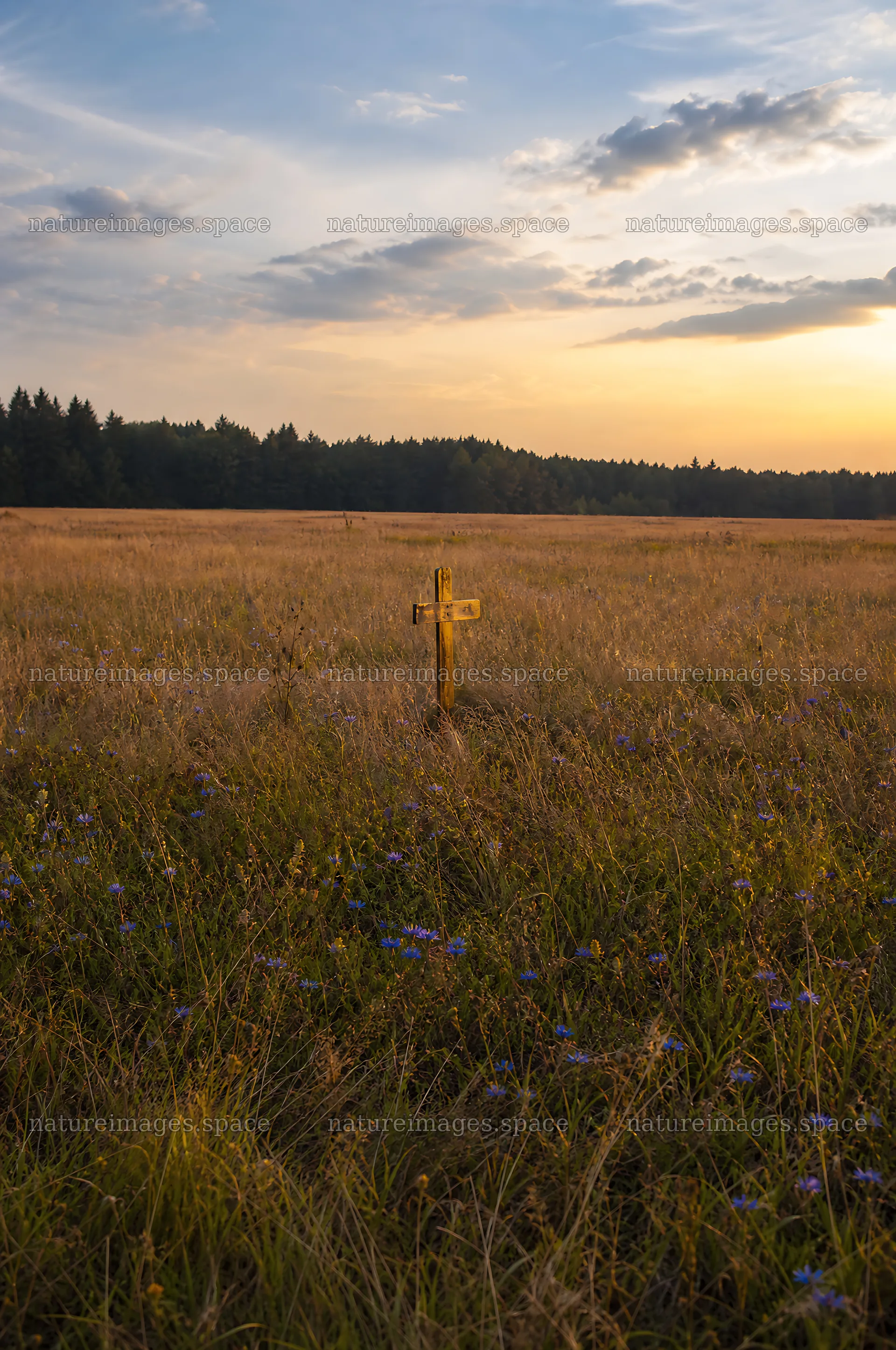 Golden Christian cross in sunset meadow with mountain valley view – nature images 6468x9740