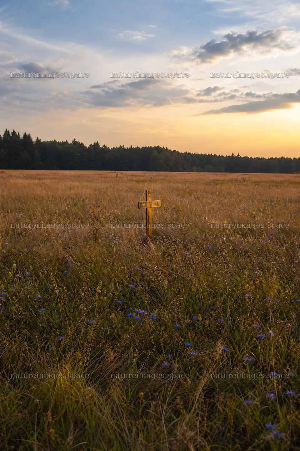 Golden Christian cross in sunset meadow with mountain valley view – nature images 6468x9740