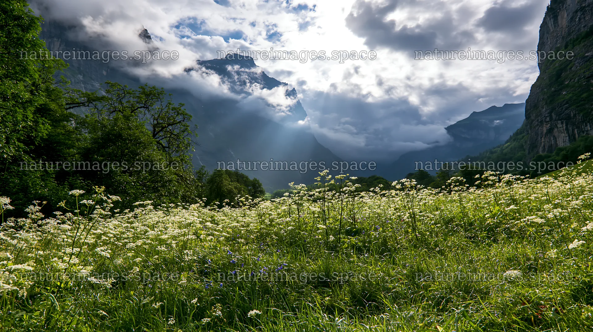 Light rays over meadow in Lauterbrunnen Valley – nature images 10608x5938
