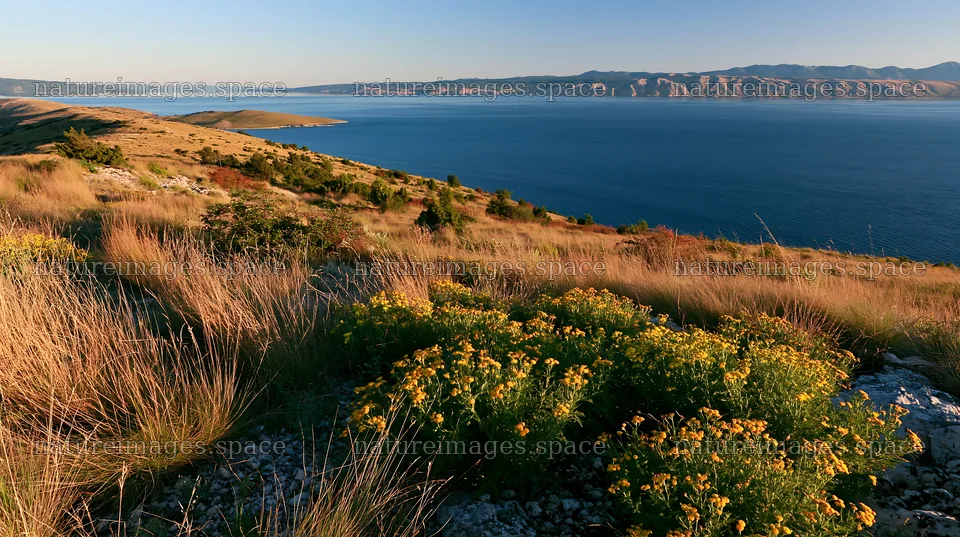 Croatian meadow above Adriatic coast captures coastal landscape – nature images 10608x5938