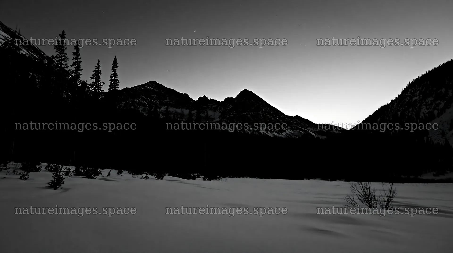 Snowy Rocky Mountain Park meadow at dusk – nature images 10608x5938