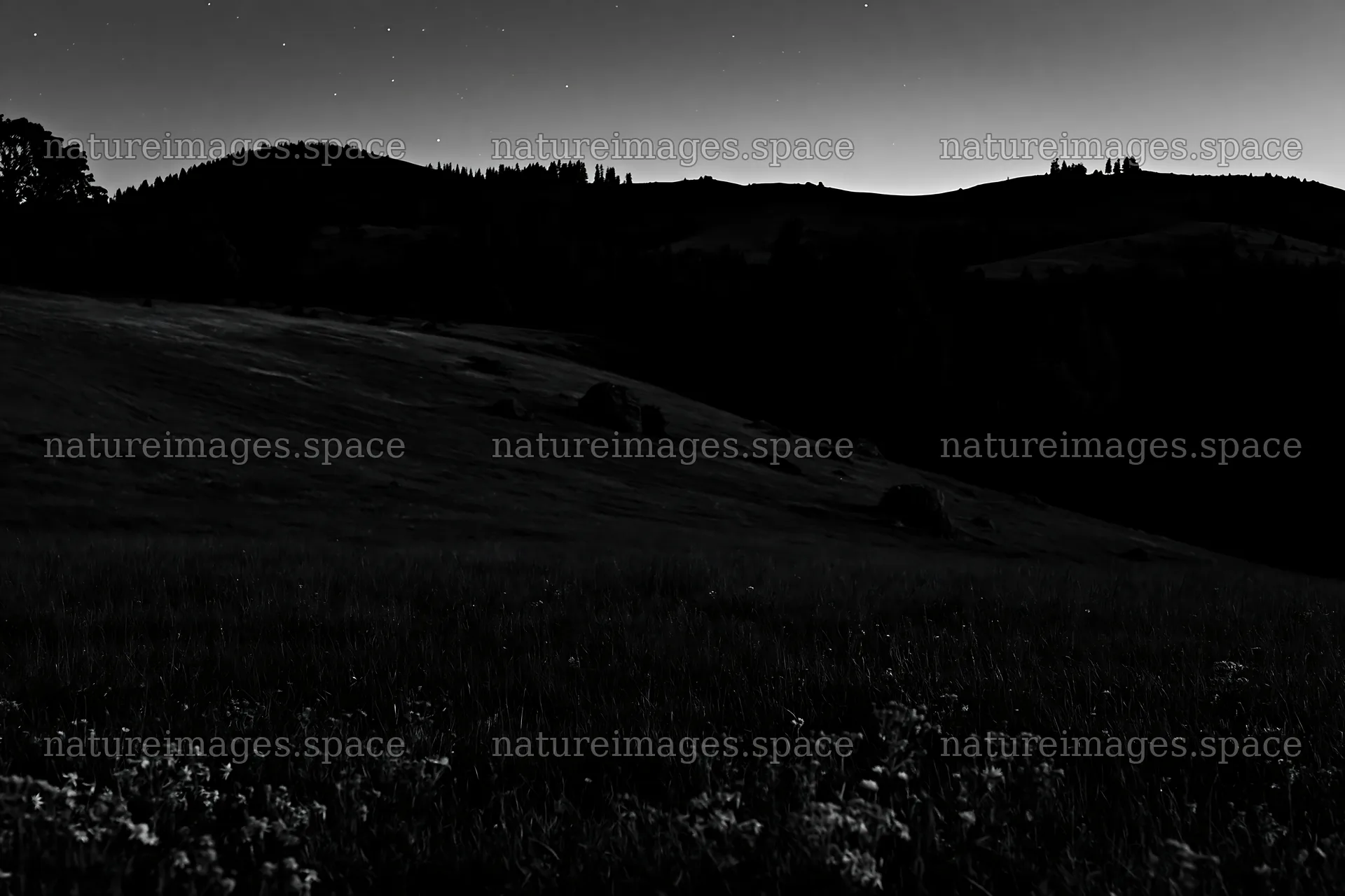 Dark sky over a meadow at night with distant hills – nature images 9722x6480