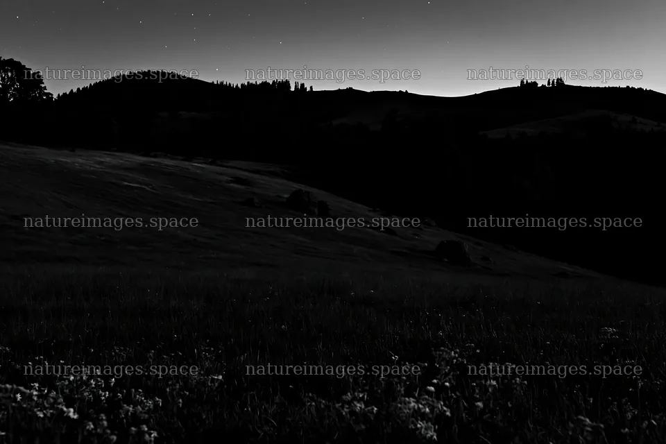 Dark sky over a meadow at night with distant hills – nature images 9722x6480