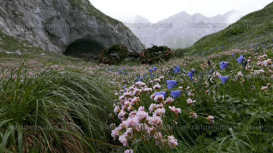 Christmas wreaths placed in meadow by cave – nature images 10608x5938