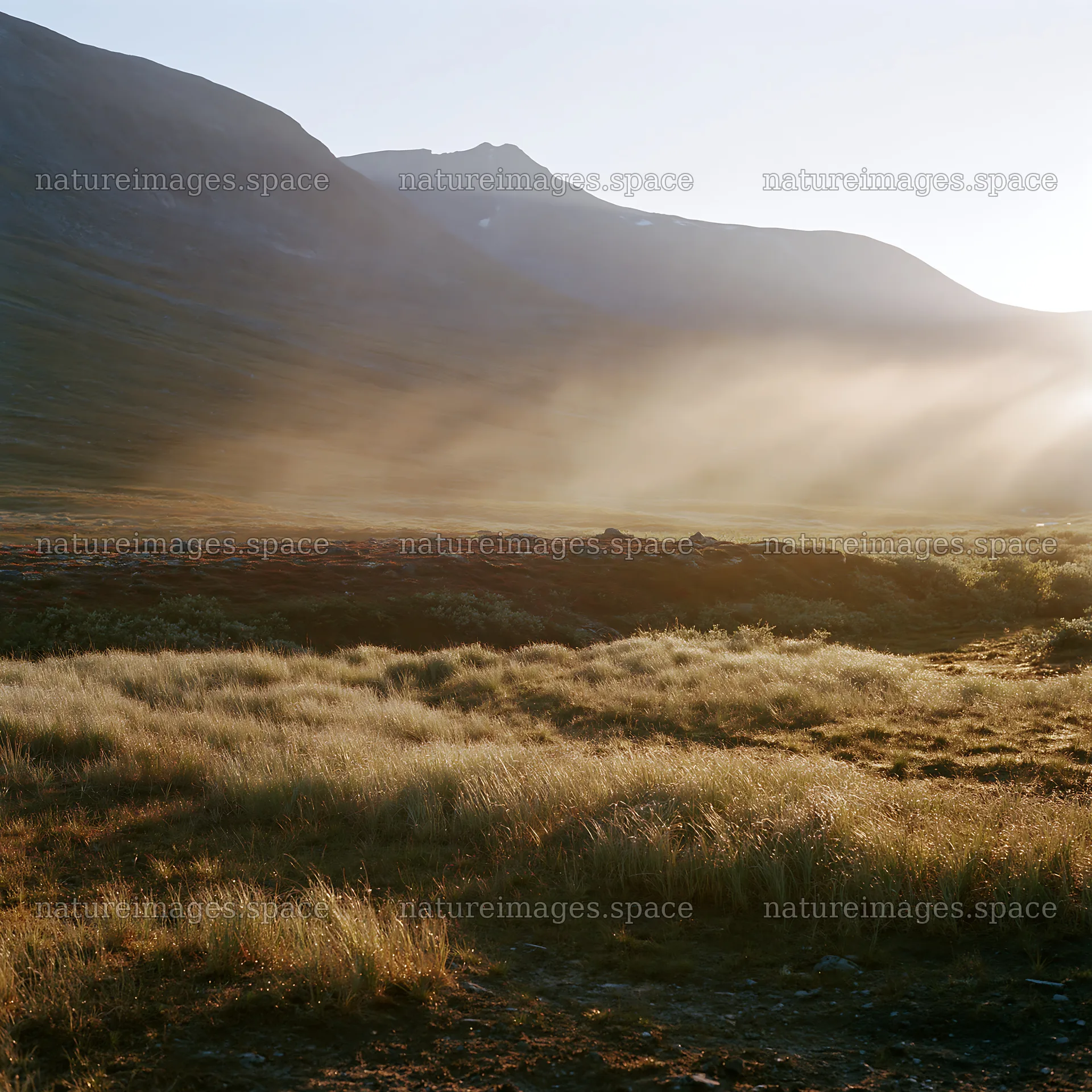 Sunbeams shining over Jotunheimen valley meadow – nature images 7938x7938