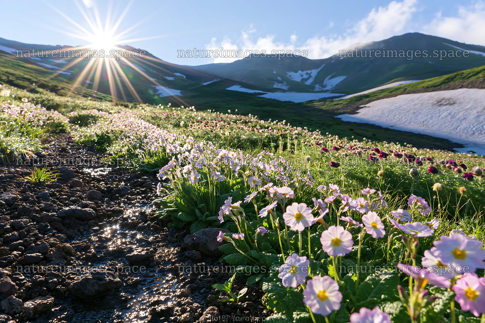 Daisetsuzan alpine meadow light rays during daytime – nature images 9722x6480