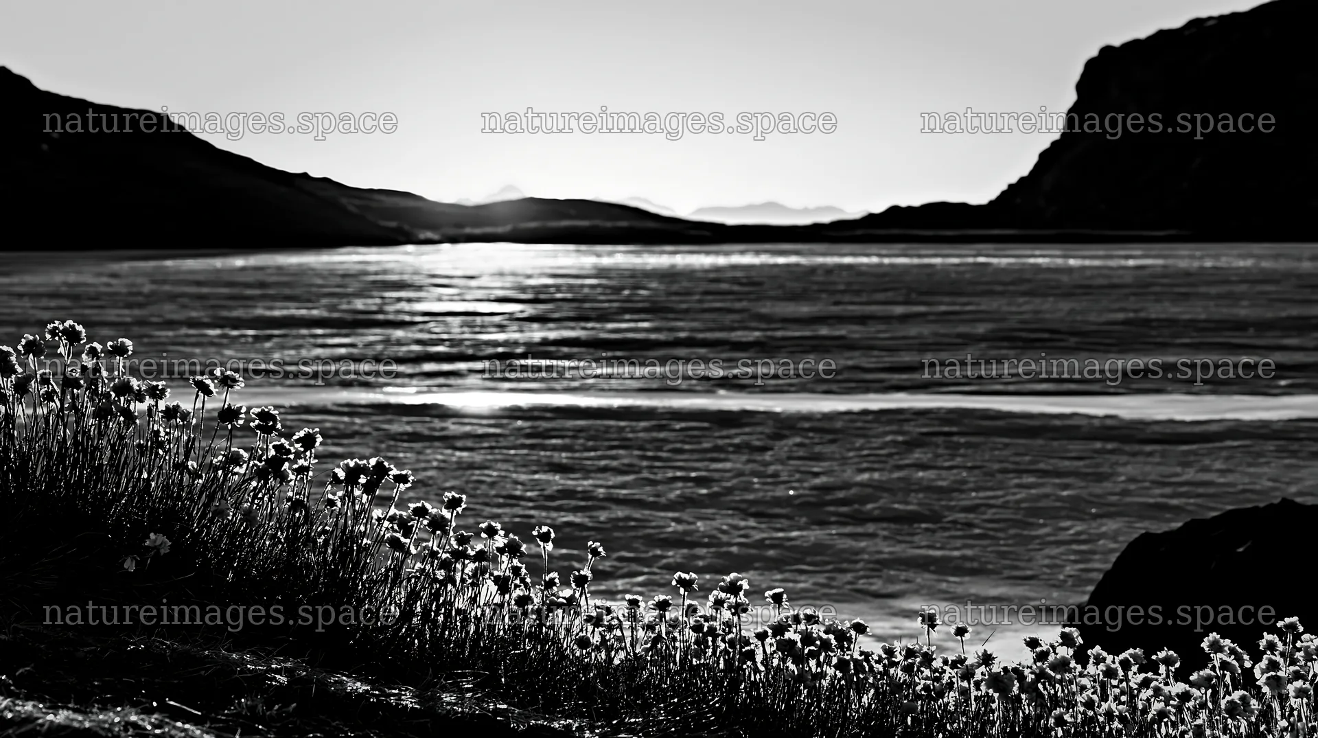 Frozen tarn meadow at sunset with blooming flowers – nature images 10608x5938