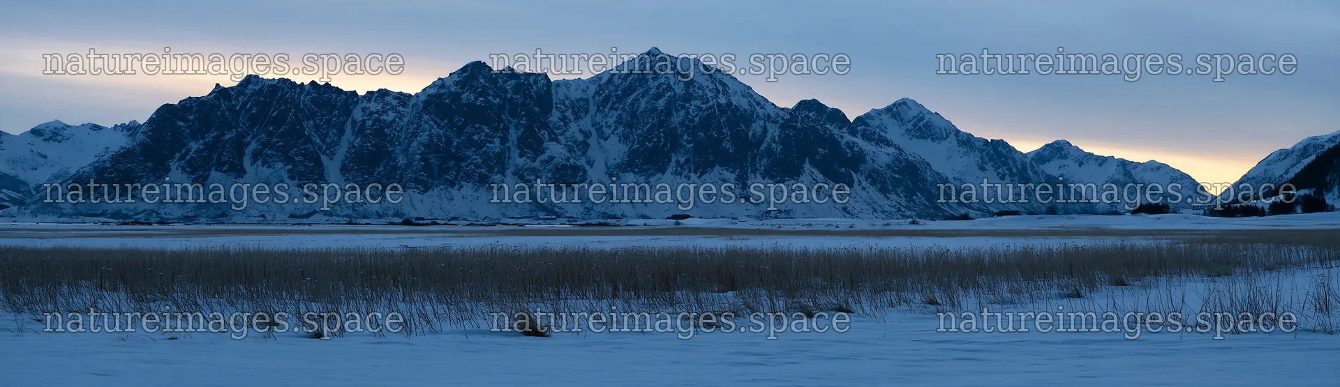 Lofoten coastal meadow winter snow captures mountains and fields – nature images 14762x4268