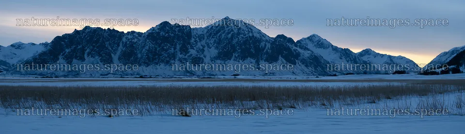 Lofoten coastal meadow winter snow captures mountains and fields – nature images 14762x4268