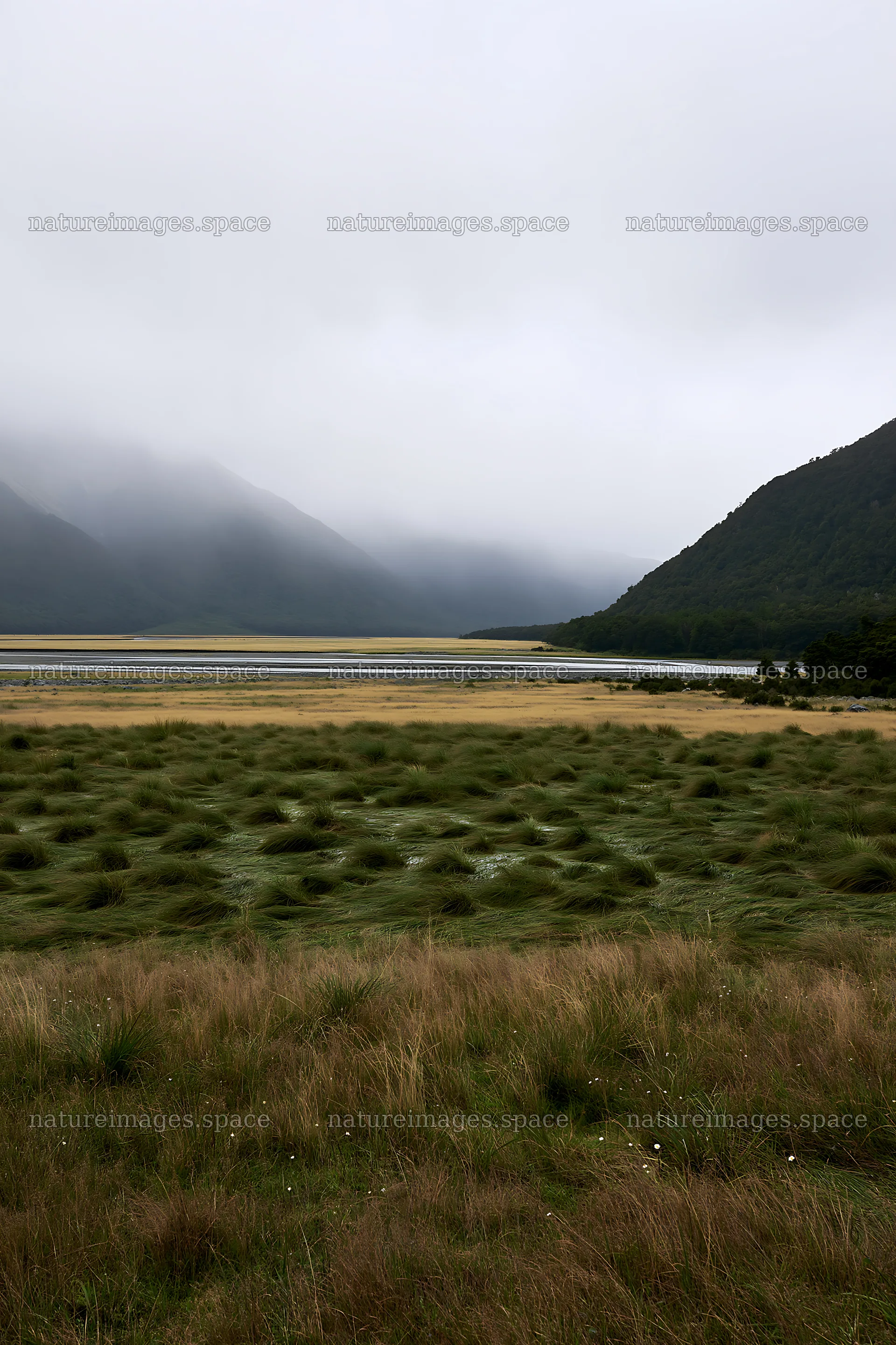 Rain soaked meadow in a mountain valley – nature images 6480x9722
