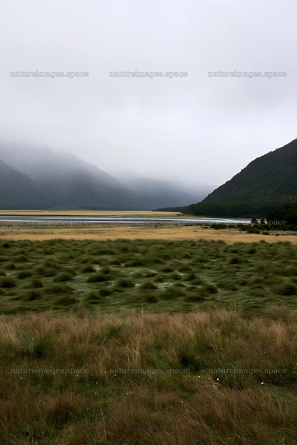 Rain soaked meadow in a mountain valley – nature images 6480x9722