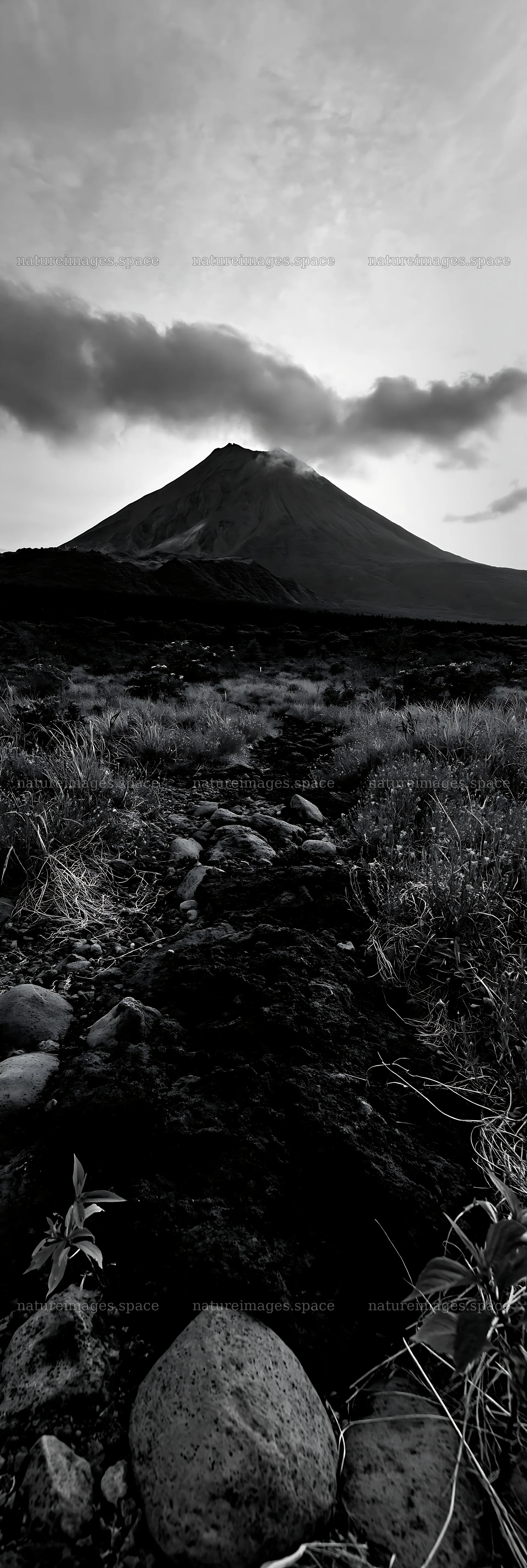 Kagoshima volcanic meadow with pumice foreground under sunset – nature images 4602x13690