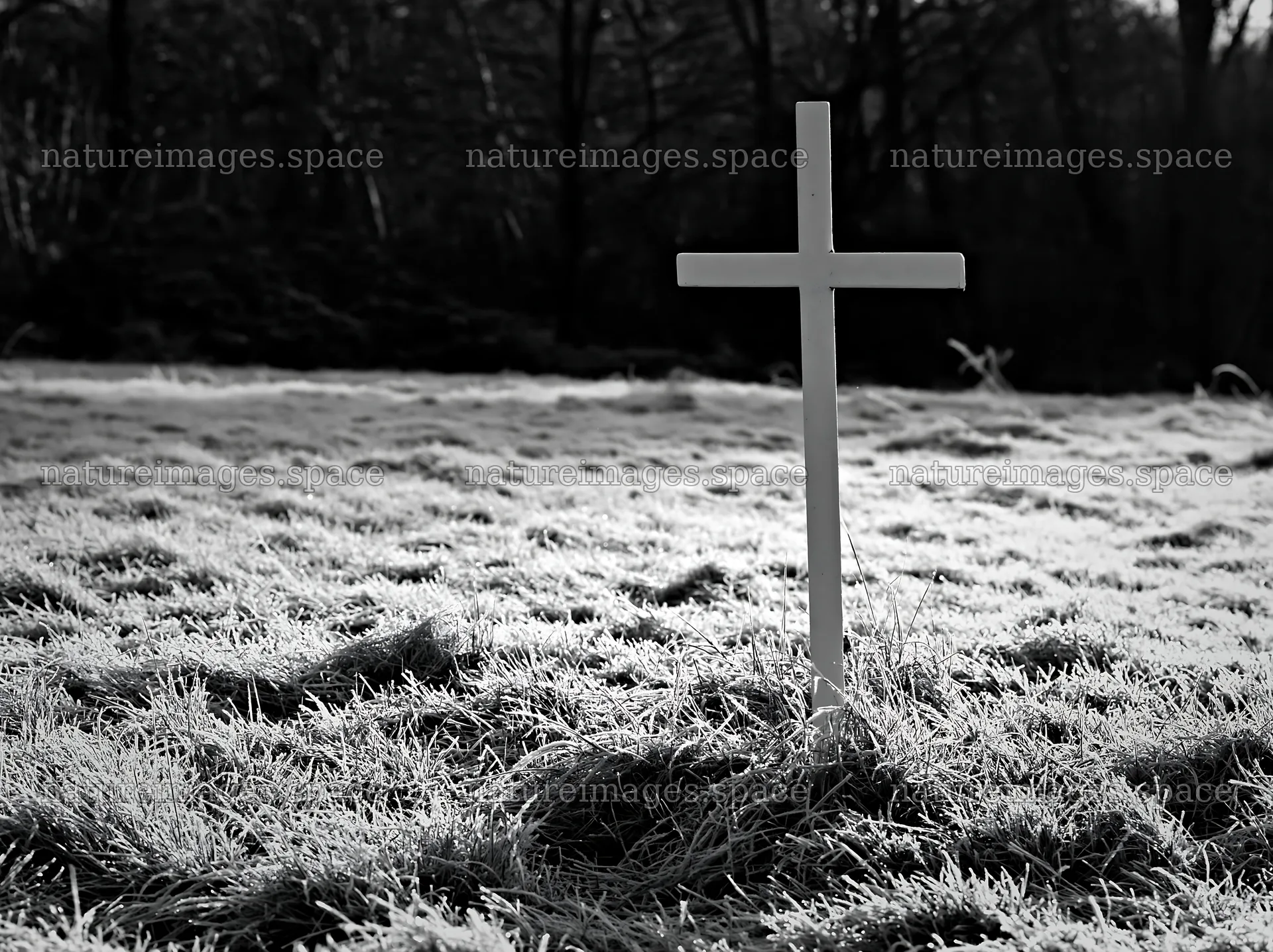 Whitewashed Christian cross in a winter meadow – nature images 9174x6866