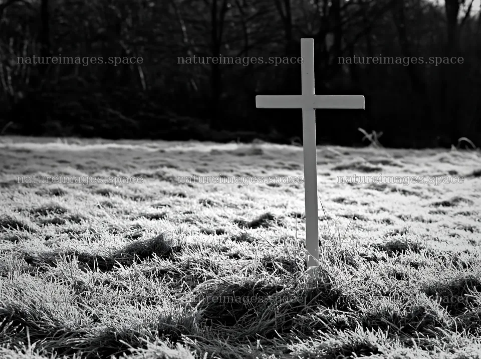 Whitewashed Christian cross in a winter meadow – nature images 9174x6866
