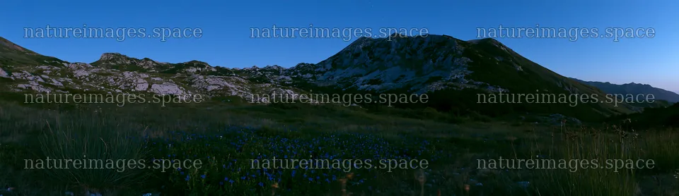 Starlit meadow with mountains under a blue sky – nature images 14762x4268