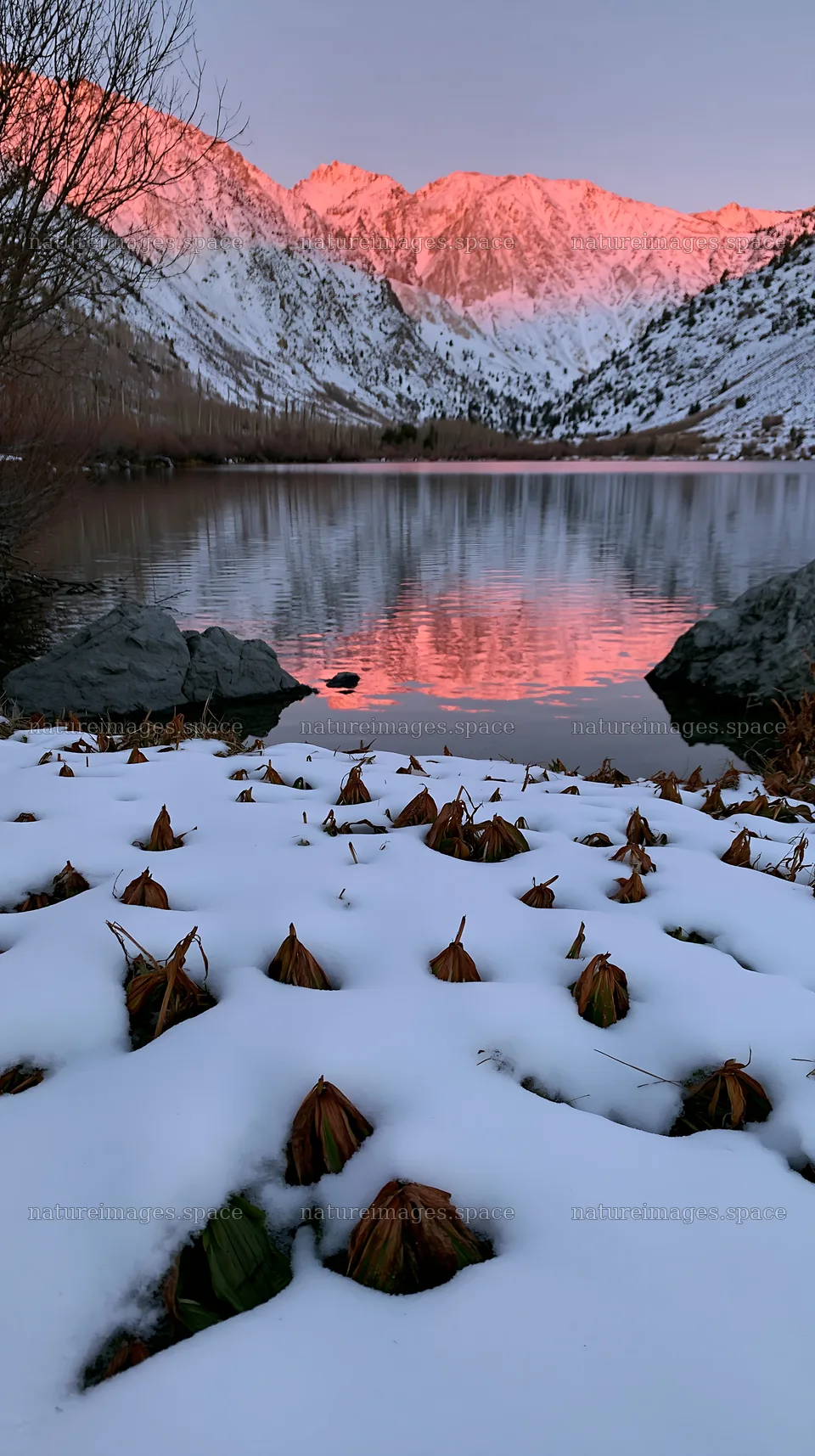 Lakeside meadow after first snowfall during sunset – nature images 5938x10608