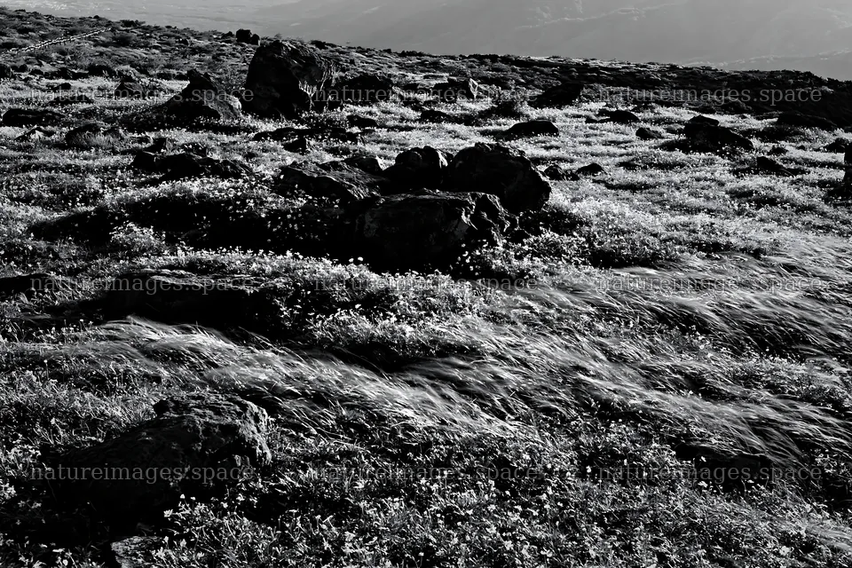 Yamanashi regenerative meadow with basalt stones in sunlight – nature images 9722x6480