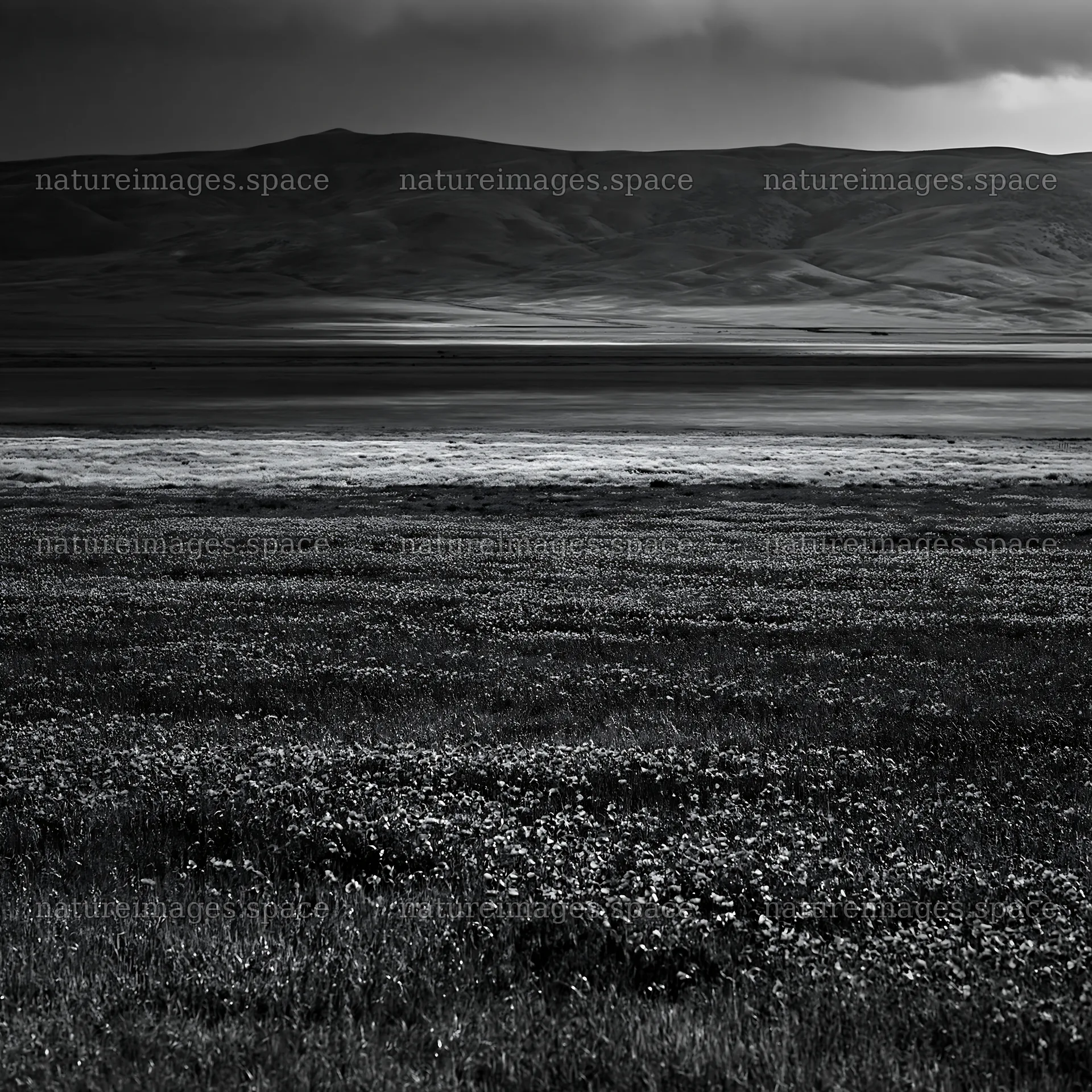 Rain falling on a valley meadow with distant mountains – nature images 7938x7938