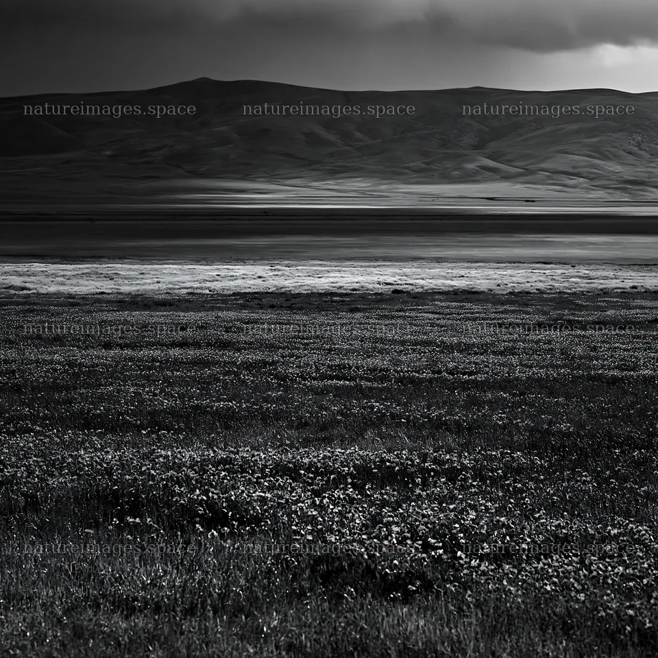 Rain falling on a valley meadow with distant mountains – nature images 7938x7938