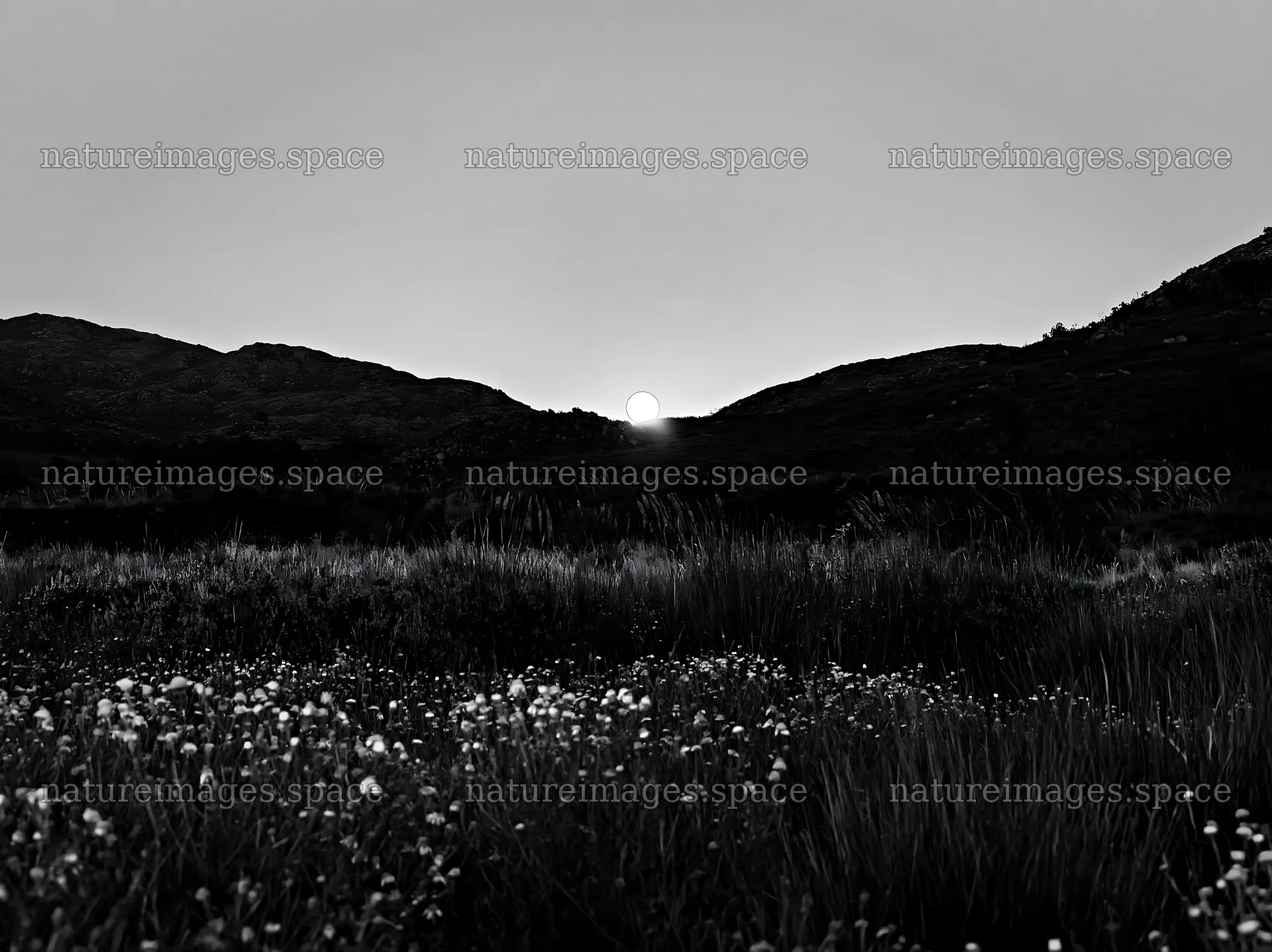 Moonrise over meadow with hills in background – nature images 9174x6866