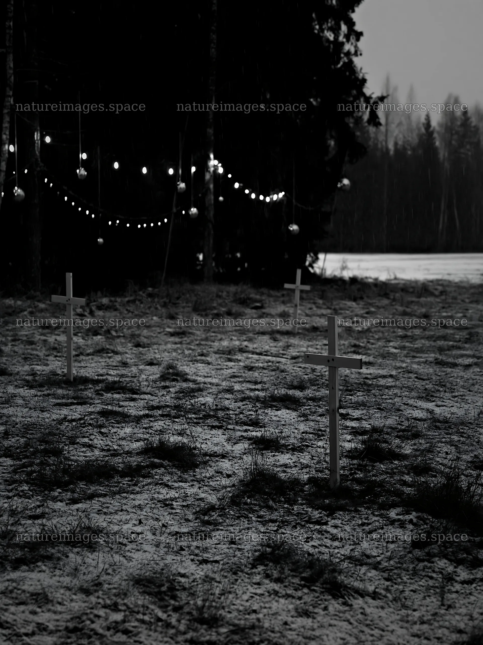 Multiple Christian crosses in a snowy meadow at dusk – nature images 6866x9174