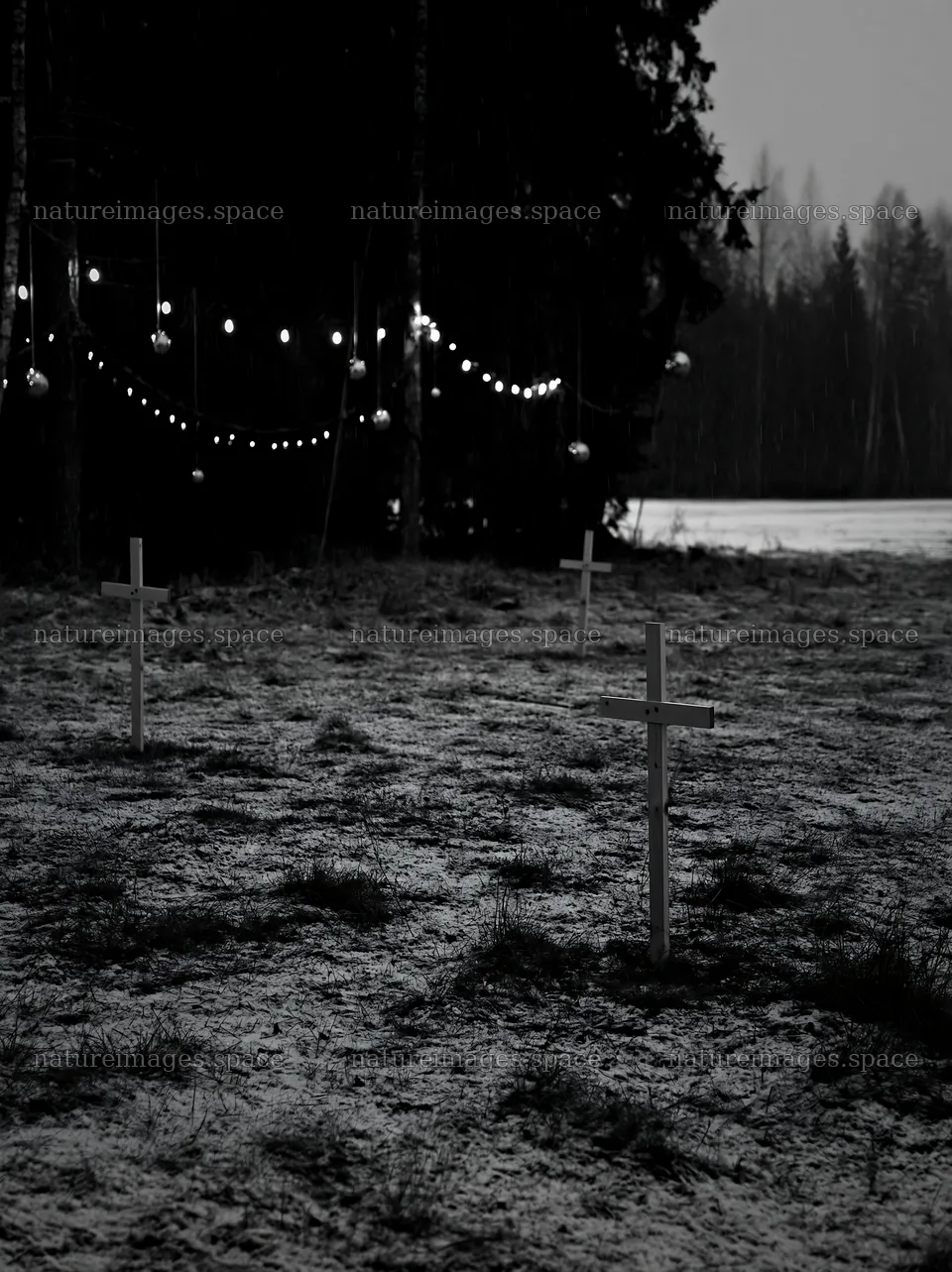 Multiple Christian crosses in a snowy meadow at dusk – nature images 6866x9174